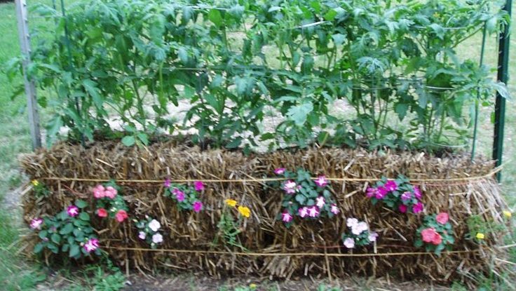 straw bale gardening basics